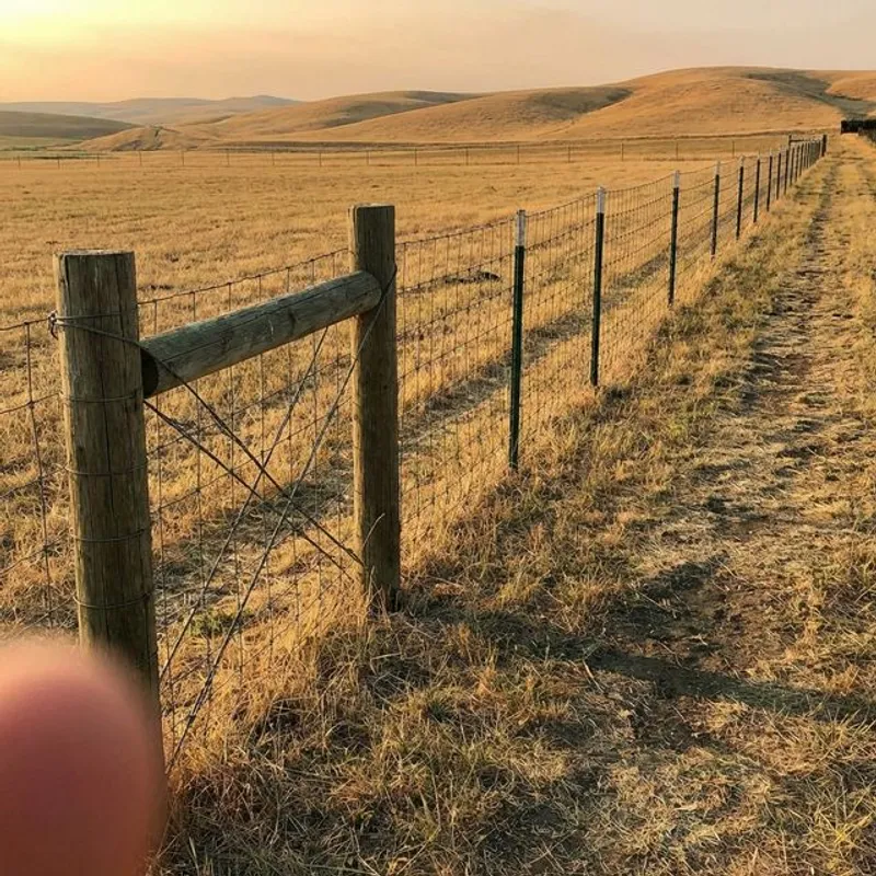 Ranch and Farm Fencing completed project in Bakersfield